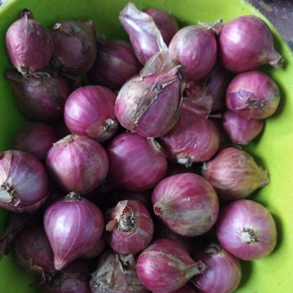 

bawang merah Probolinggo satu kilo ukuran super