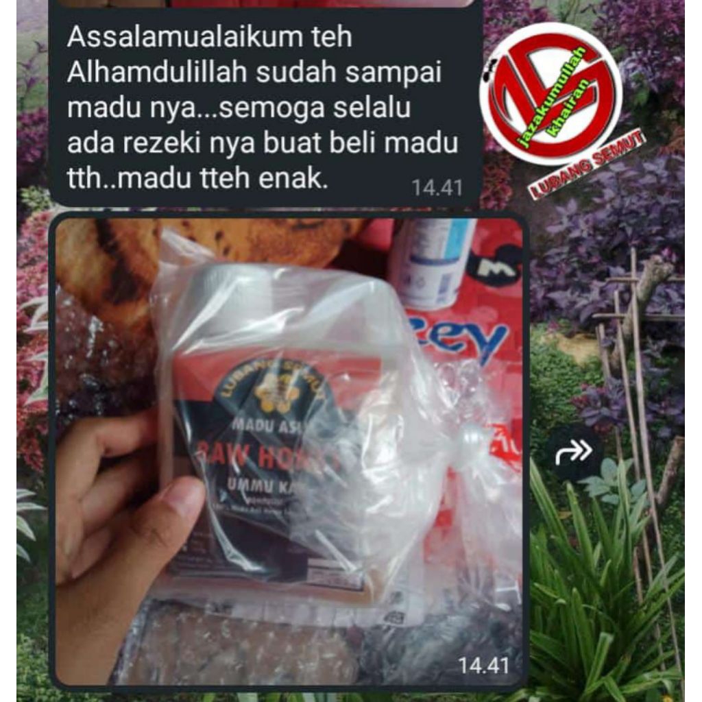 

Madu Hutan asli lubang semut.