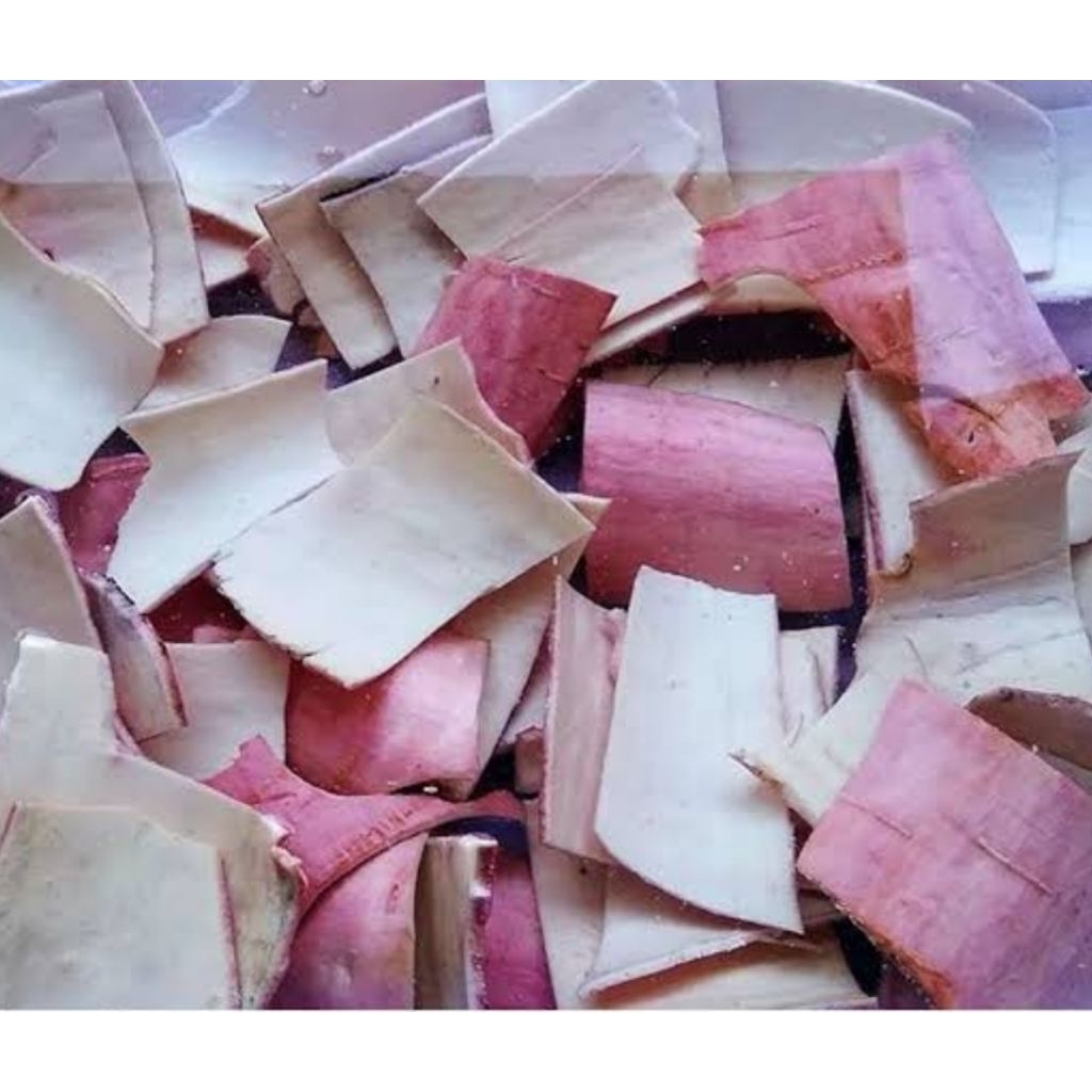 

Kulit singkong segar fresh organik 250 gram