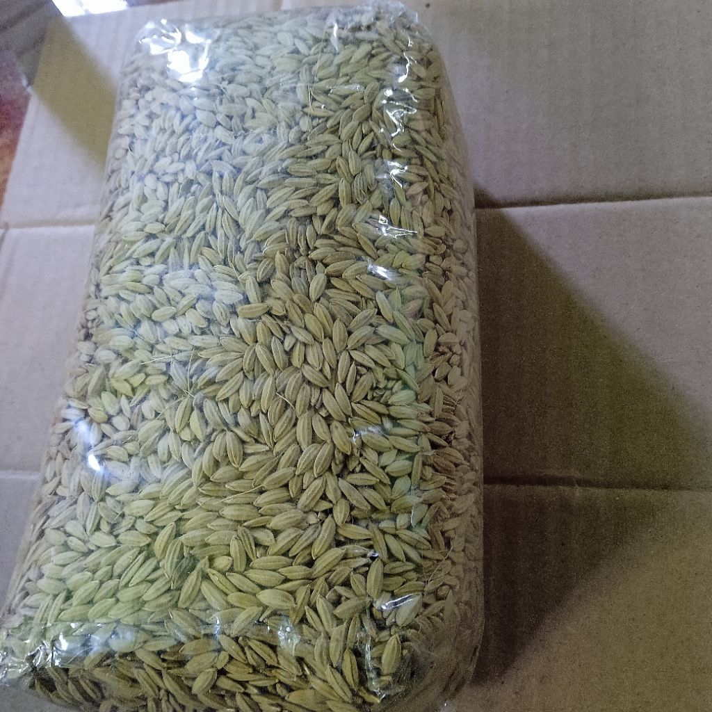

benih gabah padi merah bibit padi huma darat /500grm