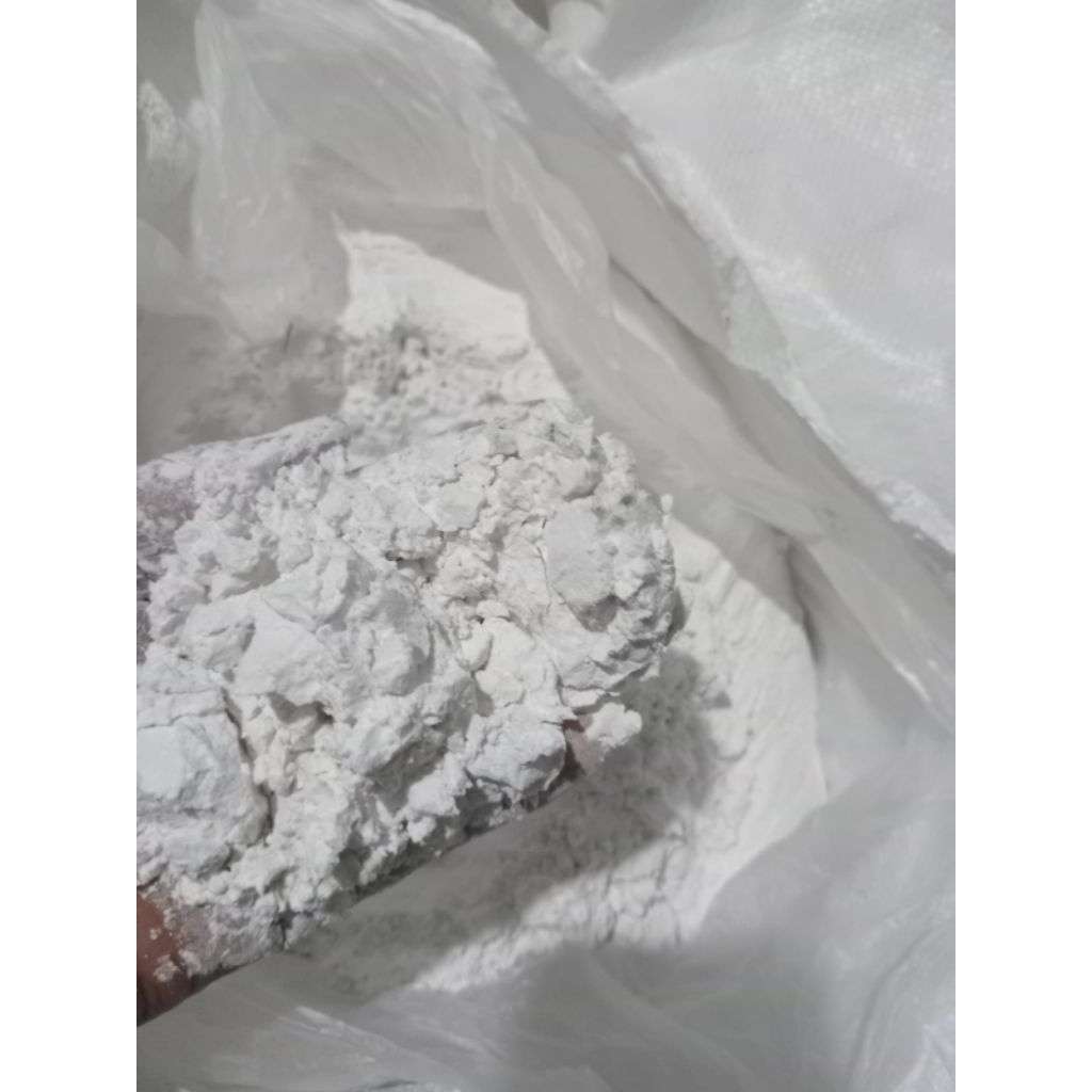 

Tepung Garut