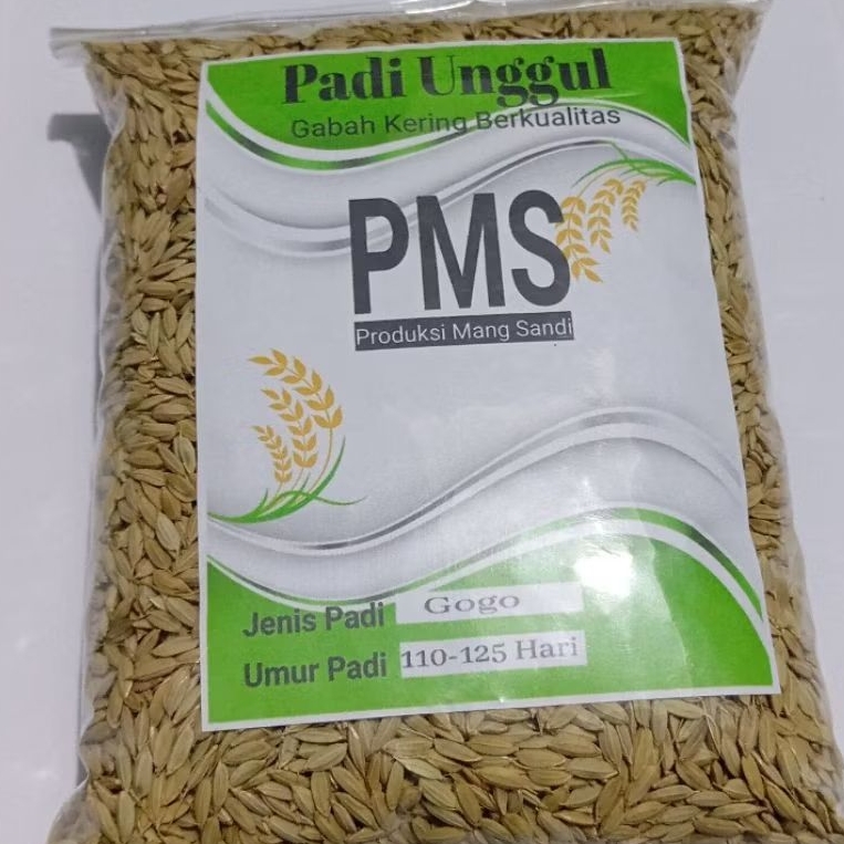 

Bibit padi gogo beras putih pulen - Padi Huma - Padi Tanpa Air - Kemasan 1 kg