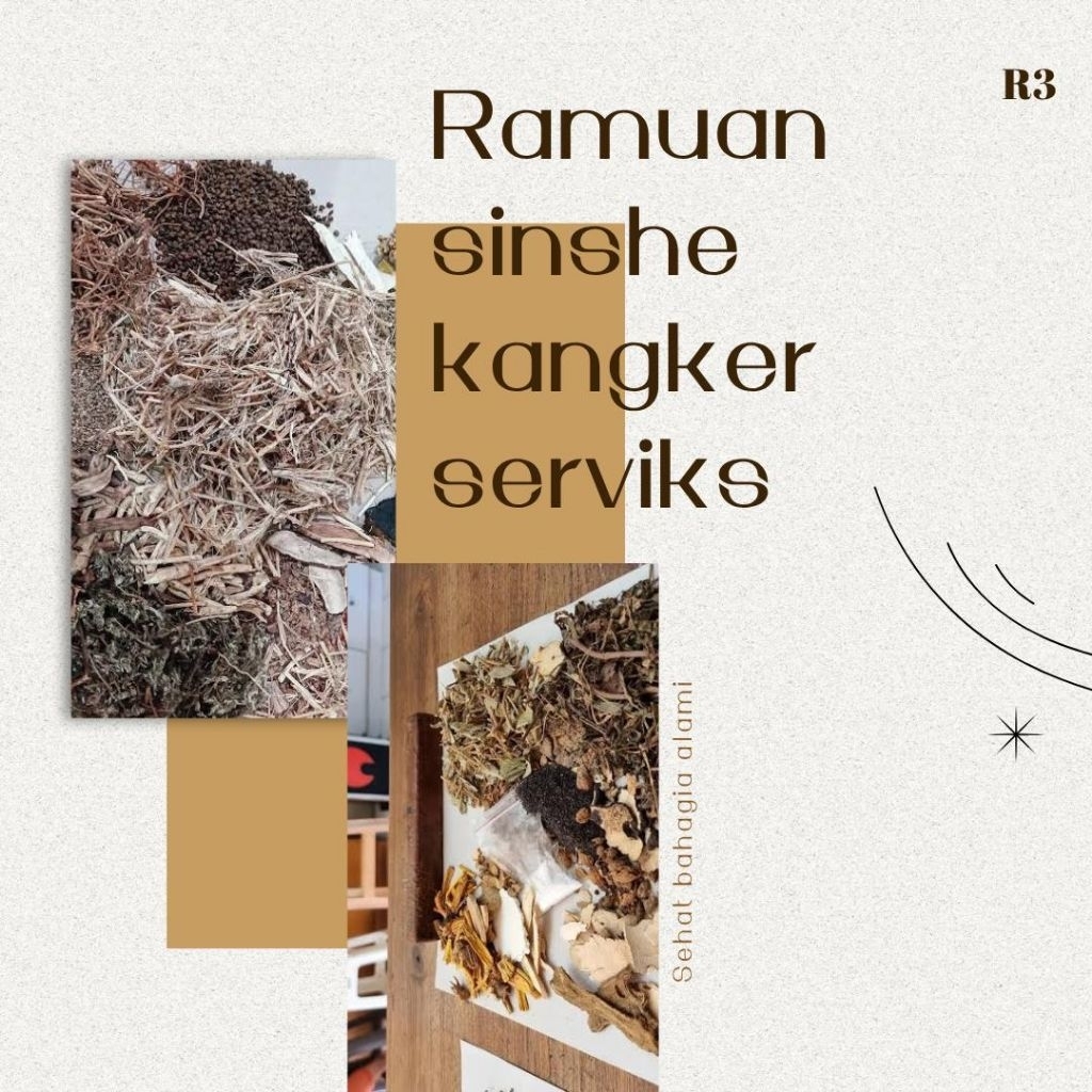 

ramuan sinse sinshe racikan Tiongkok ramuan herbal tradisional kanker serviks miom sembuh tanpa operasi