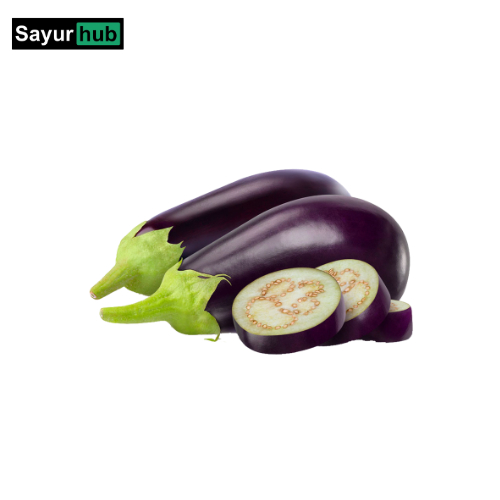 

Terong Ungu