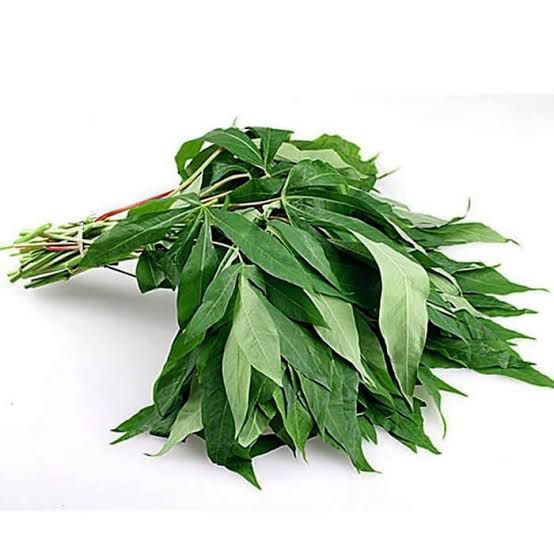 

Daun Singkong