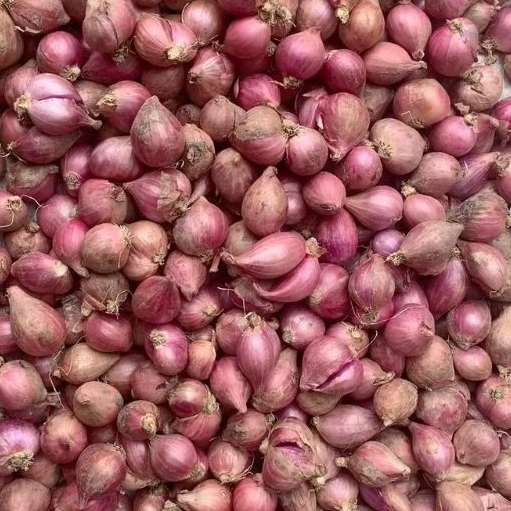 

Bawang Merah 250 gr / 500 gr / 1 Kg