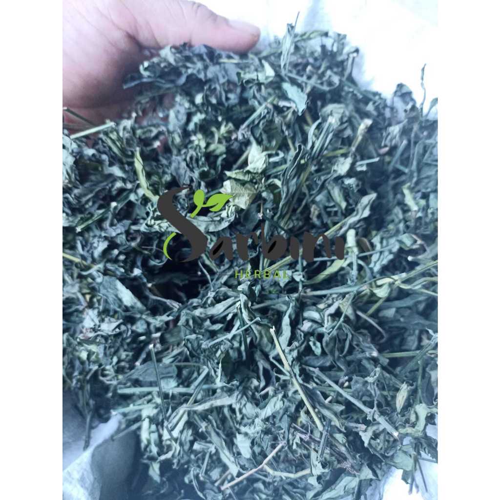

Sambiloto Kering/ Kering Sambiloto 100 gram / 250 gram / Simplisia Kering Sambiloto / Sambiloto Garansi Terjamin 100% Asli Murni / Bahan Sambiloto Kering / Bahan Sambiloto Premium / Jamu Herbal Sambiloto / Sambiloto