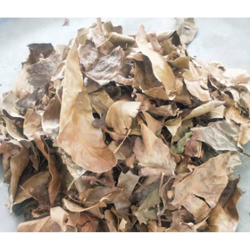

Daun mahoni kering organik 1 kg natural