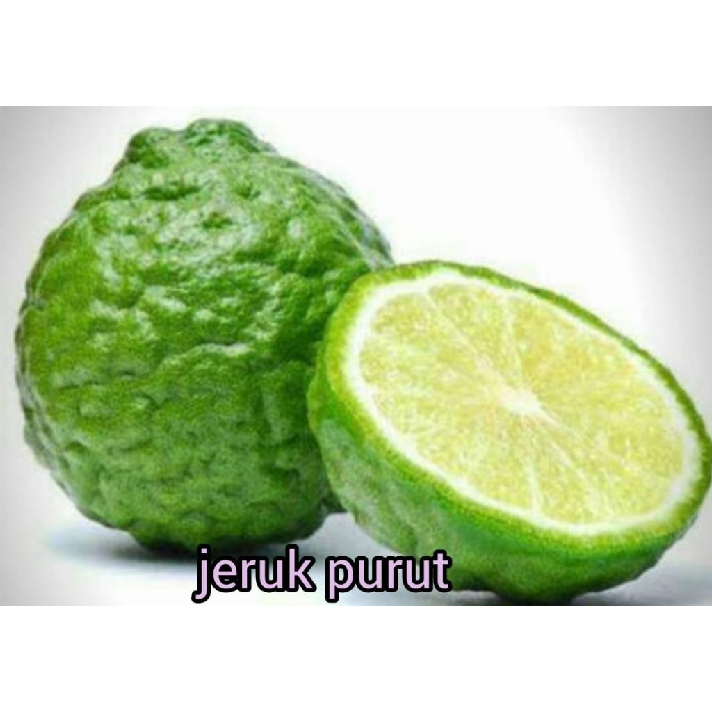 

JERUK PURUT FRESH PILIHAN