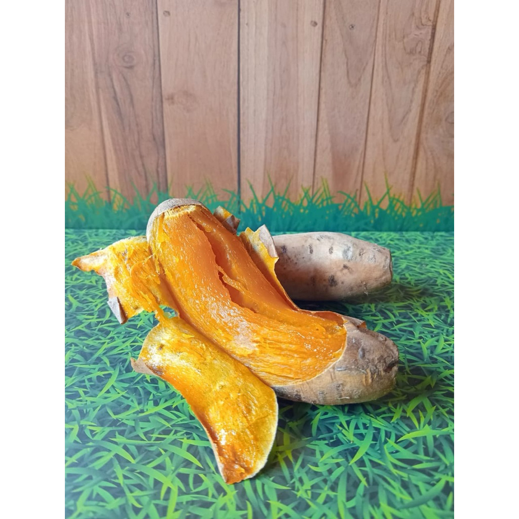 

ubi cilembu matang organic