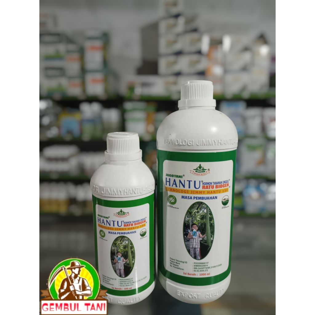 Hantu buah - pupuk organik pembuahan.