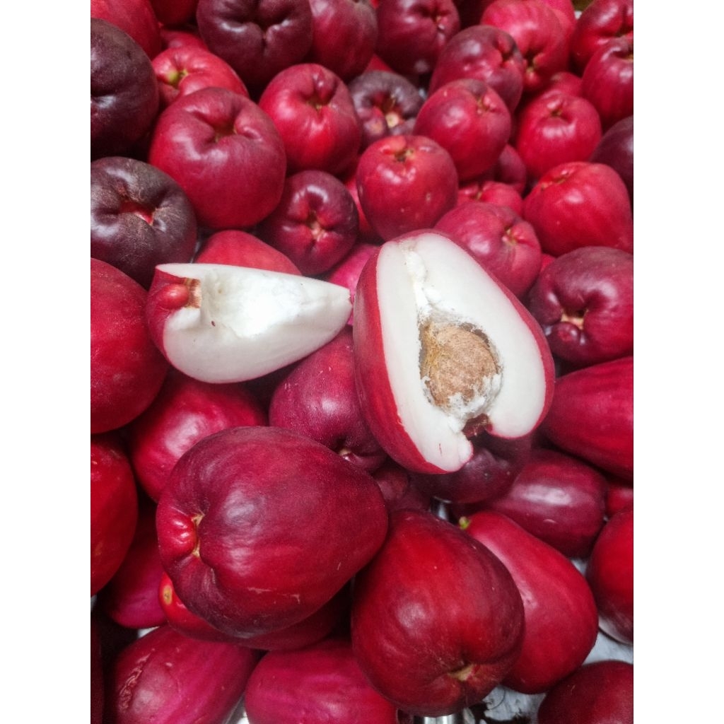 

Jambu Jamaica Super 1 kilo Dapoerjgc