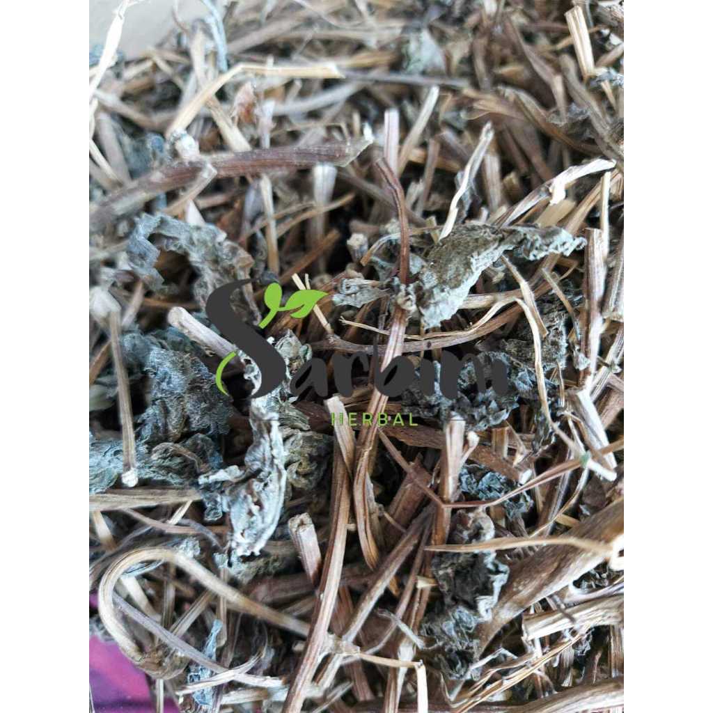 

Binahong Kering / Kering Binahong / 500 gram / 1000 gram / Simplisia Kering Binahong / Binahong Garansi Terjamin 100% Asli Murni / Bahan Binahong Kering / Bahan Binahong Premium / Bahan Binahong Kering Murni