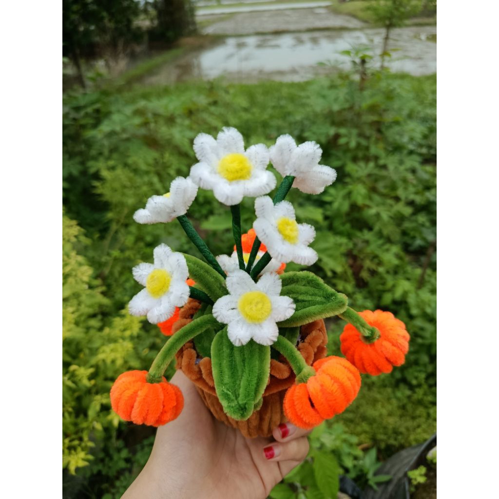 

Labu & bunga labu kawat bulu gembul [ready siap kirim]