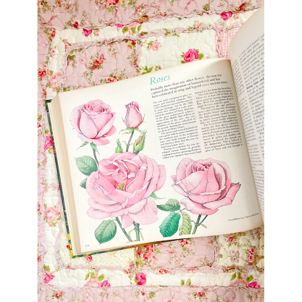 Reader's Digest Illustrated Guide to Gardening