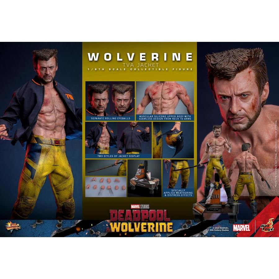 Hot Toys Wolverine TVA Jacket Deadpool & Wolverine MMS 756