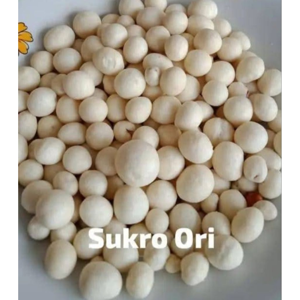 

Kacang Sukro ORI 250gram