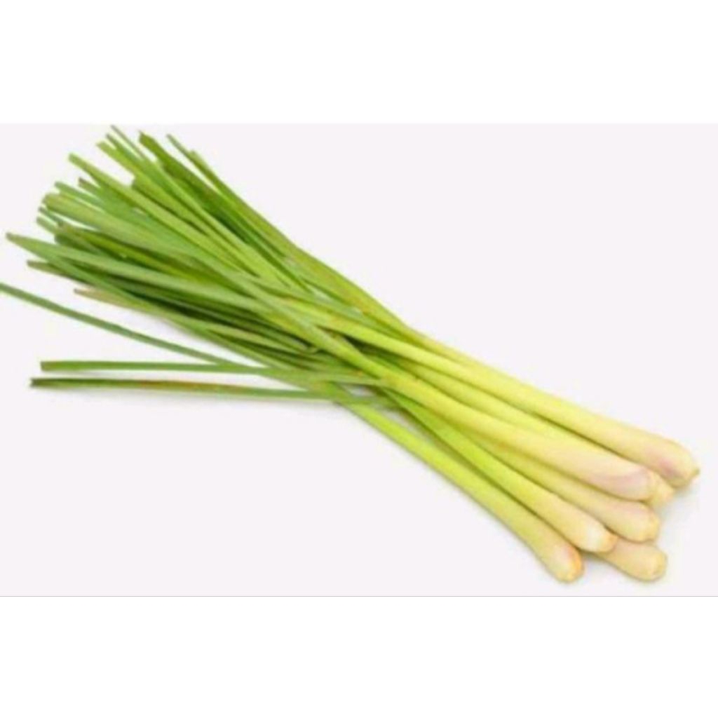 

Promo 1 Kg Batang Sereh Bumbu Dapur..