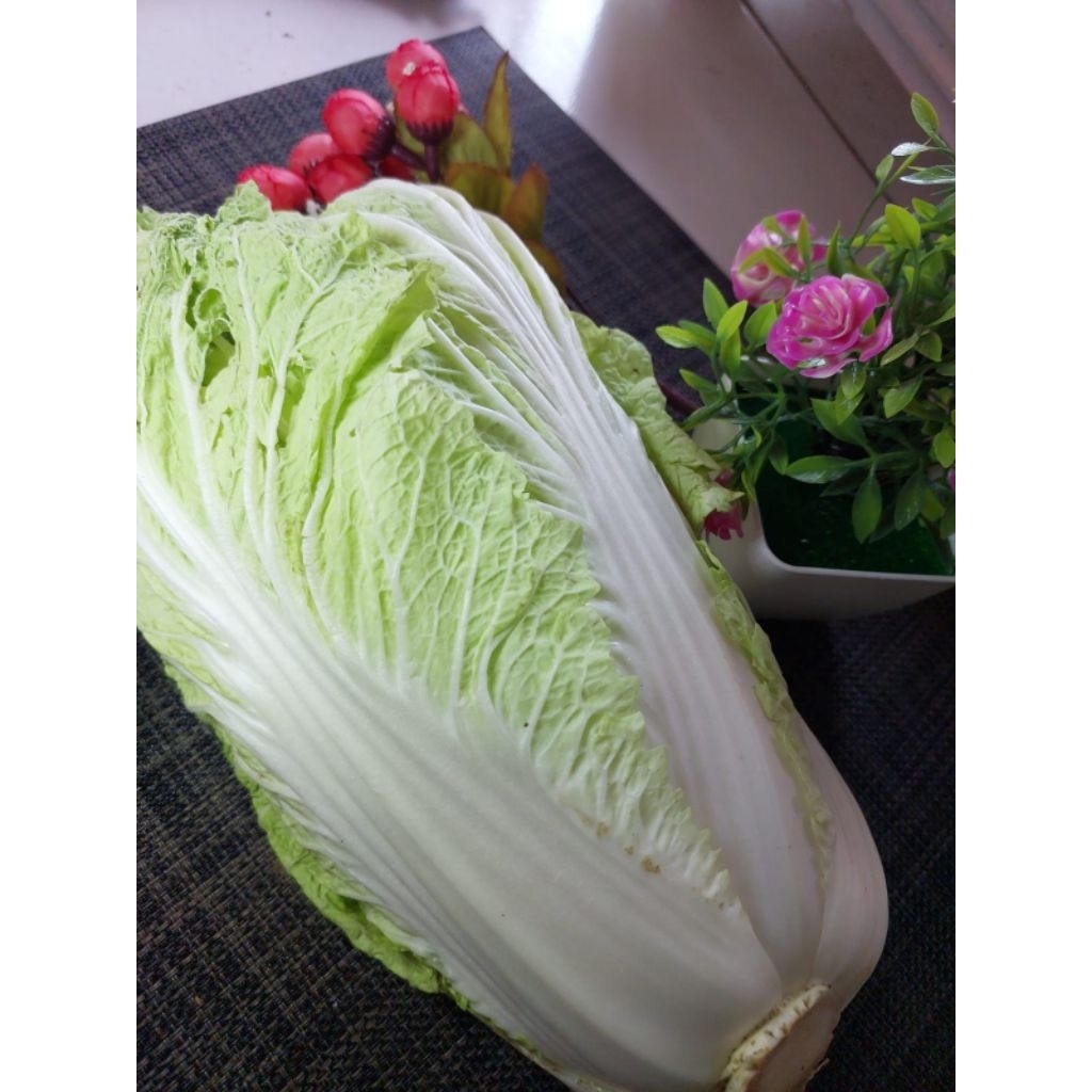 

Sawi Putih Segar 500gr Pengiriman Instan / Sayur Segar Bogor