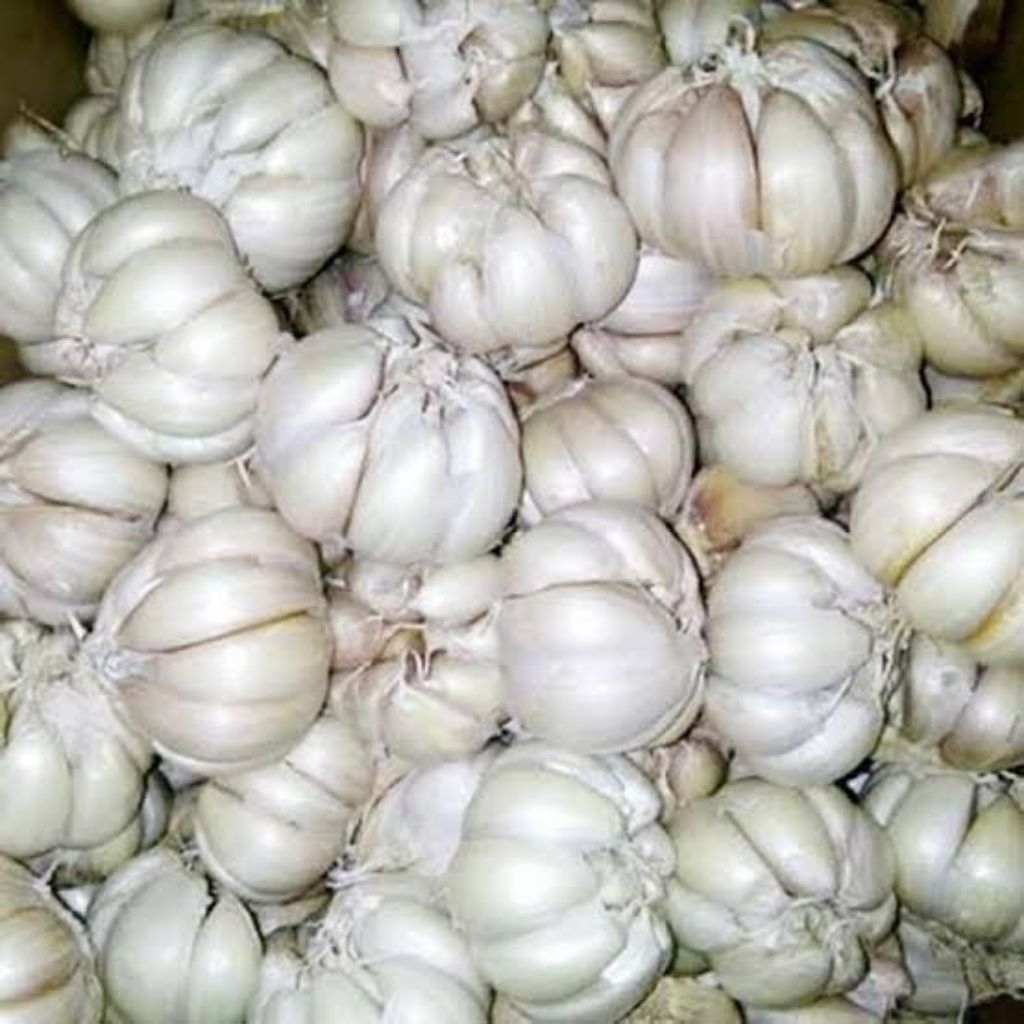 

500GR BAWANG PUTIH SINCO BAPUT SICO BUMBU MASAK