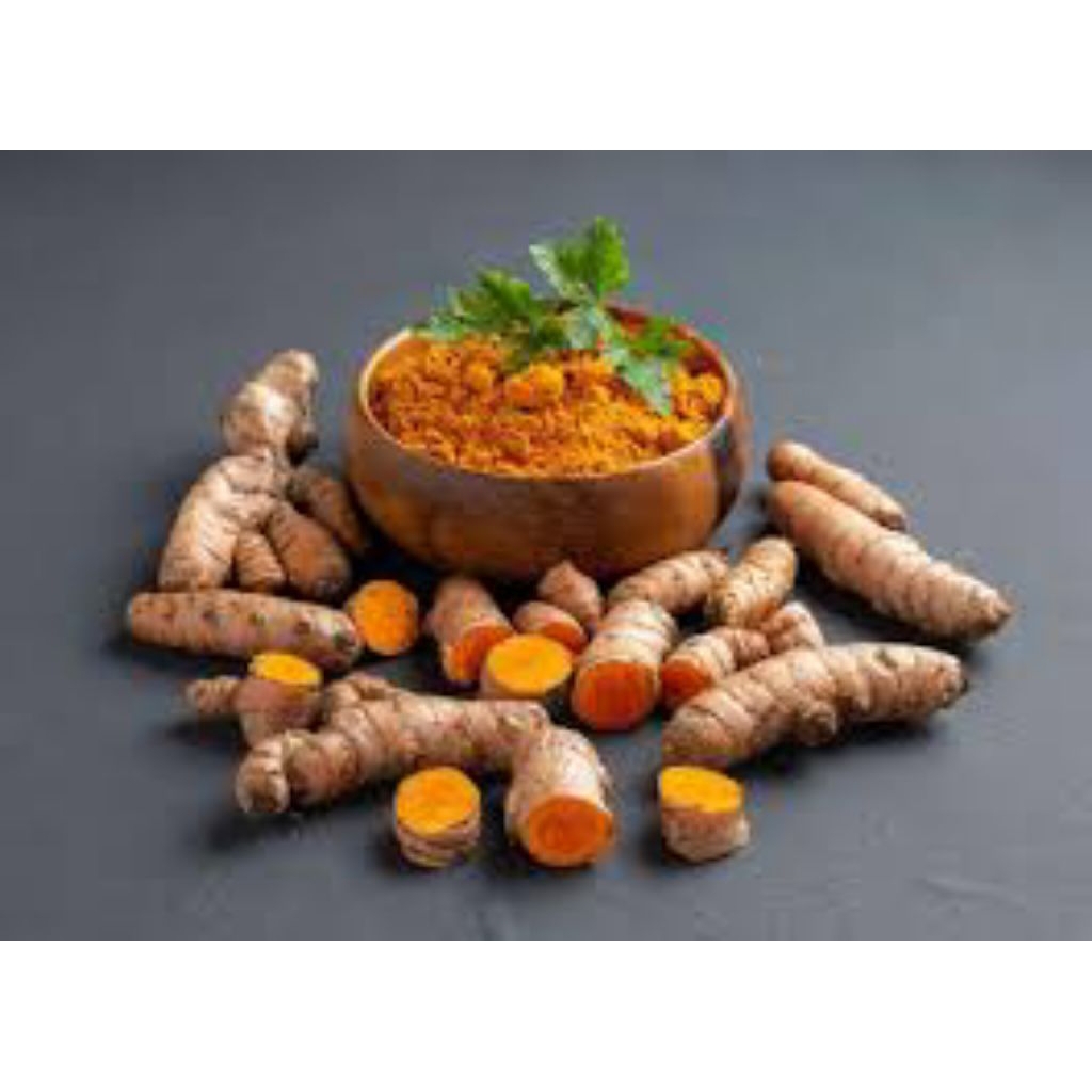 

kunyit segar pres 1kg