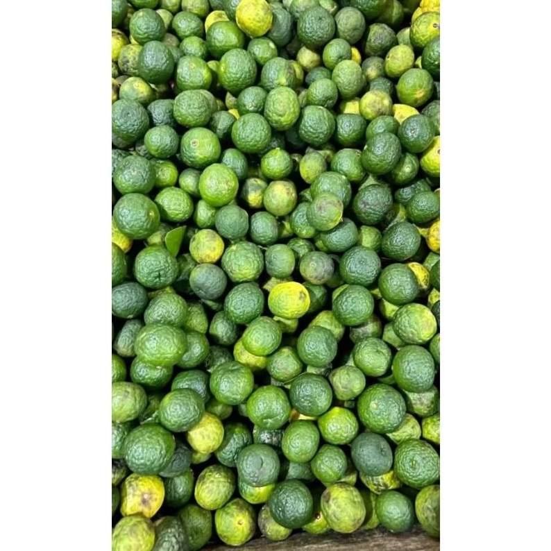 

JERUK LIMAU / JERUK PENYEDAP CAMPURAN MASAKAN PER 1/2KG