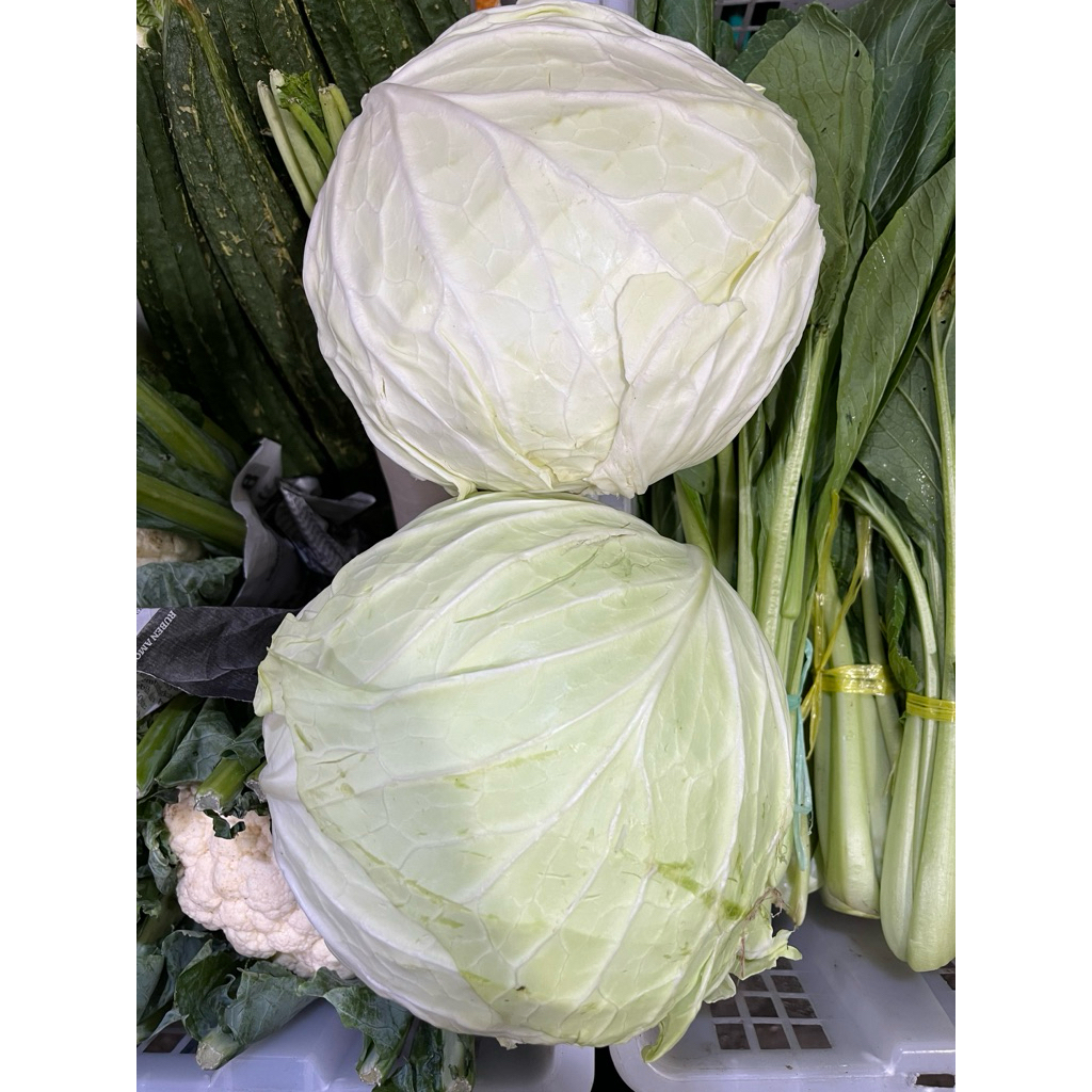 

Kol / Kubis 1 kg | Promo Sayuran Murah | Fresh Buah Amanah