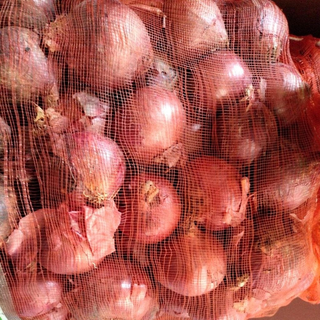 

Bawang Bombay merah