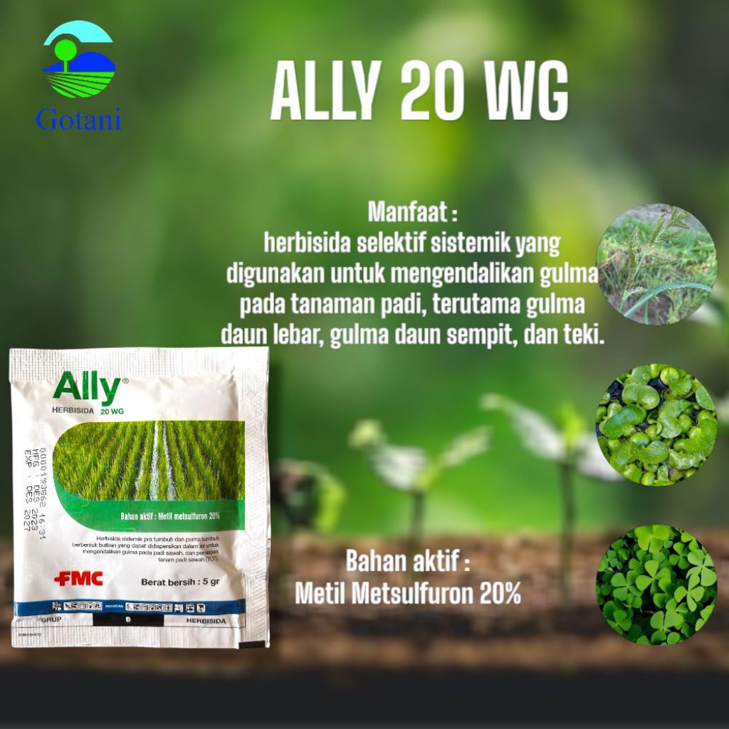 ALLY WG 20WG 5gram