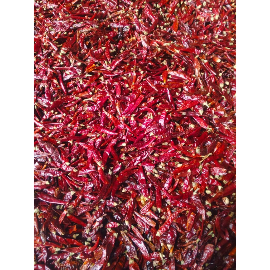 

Cabe Kering Utuh Kualitas Super Pedas – Pedas Alami, Cocok untuk Sambal & Masakan