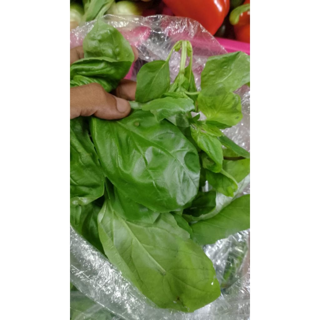 

Daun Basil Fresh 100 gram