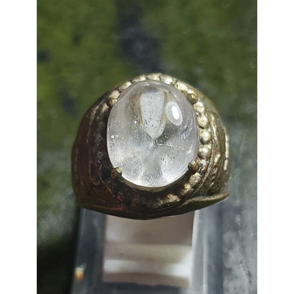 Kecubung Air Kalimantan