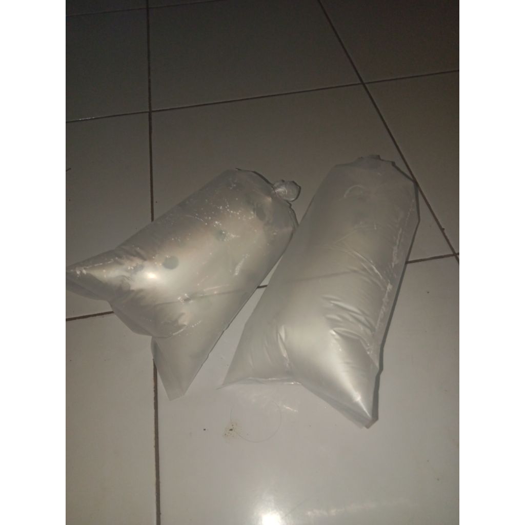 

ANGIN NANGGELA SEGER DAN HARUM