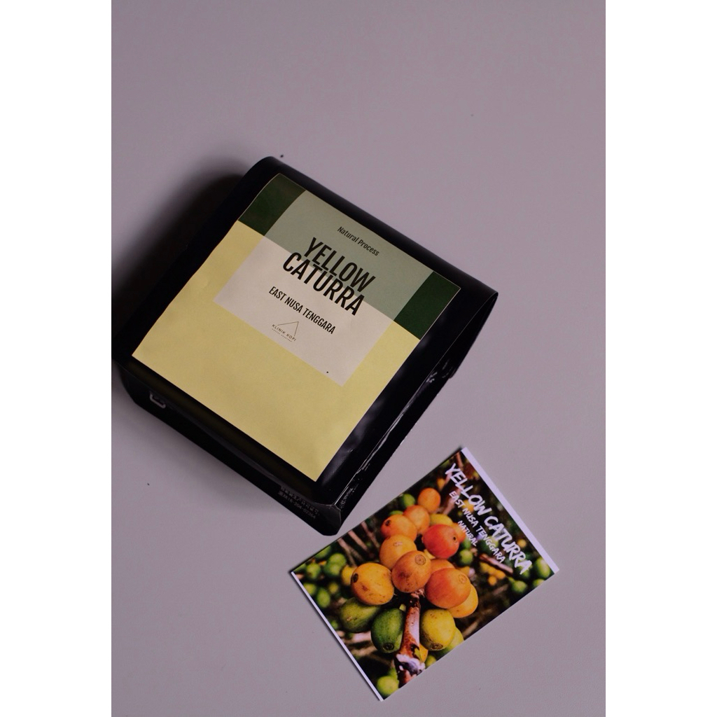 

Klinik Kopi Arabica Yellow Caturra Natural Flores