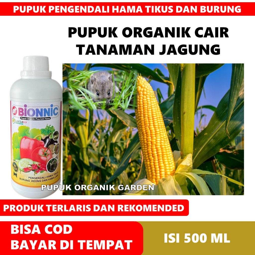COD AMAN BIONNIC 500 ML Obat Pelebat Buah Jagung Sawah & Penyubur Akar, Daun, Batang Jagung Alami - 