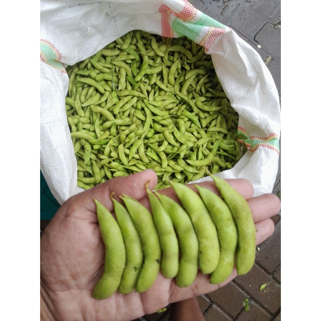 

EDAMAME FRES 1KG