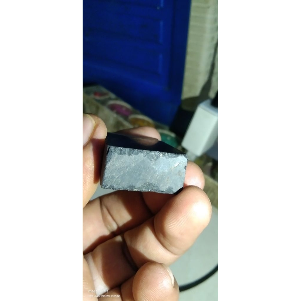 Batu fosil galih kelor serat ruyung