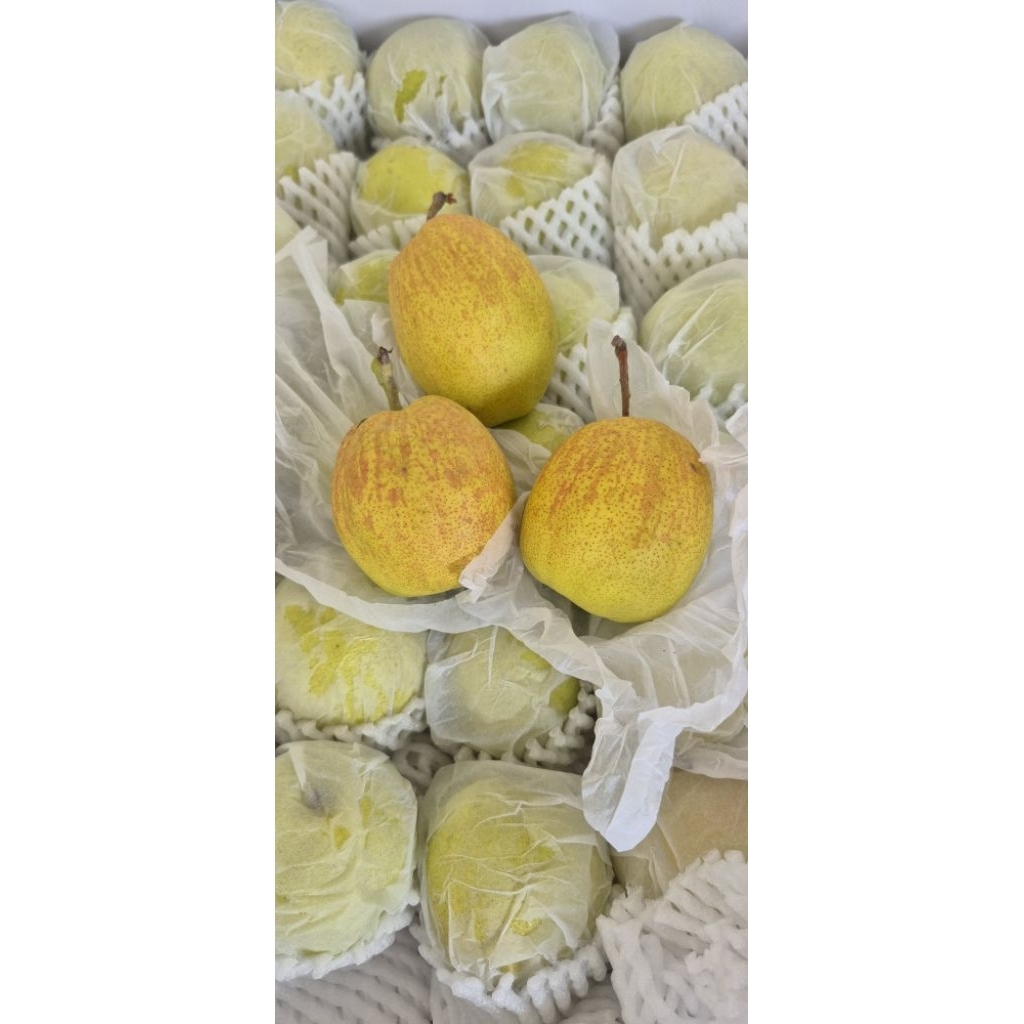 

pear Xianglie 500gr / 1kg