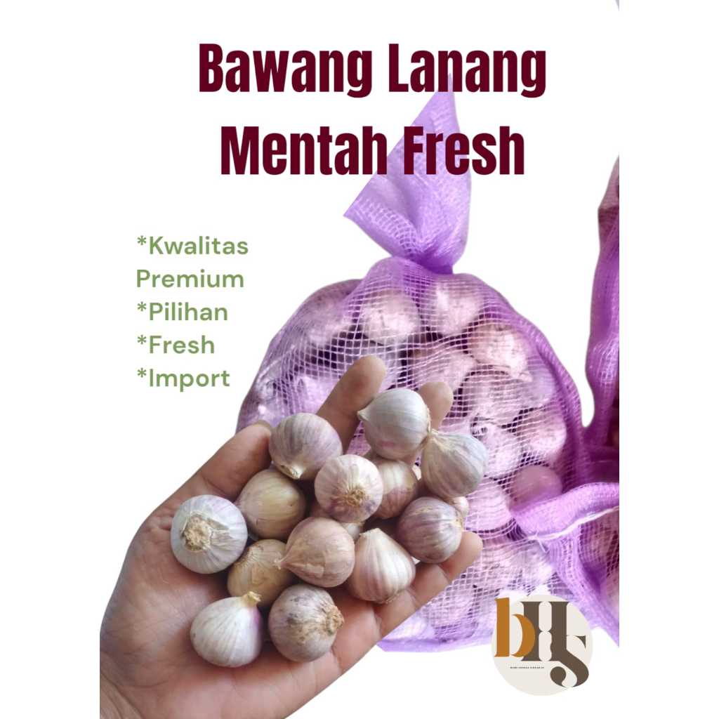 

Bawang Lanang Murah / Bawang Lanang Mentah / Bawang Tunggal / Bawang Lanang Fresh 250