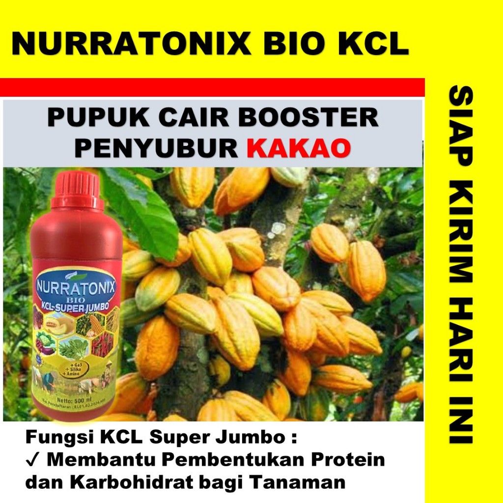 Nuratonix Bio KCL Super Jumbo Cair Booster Penyubur Kakao terbaik isi 500 ml
