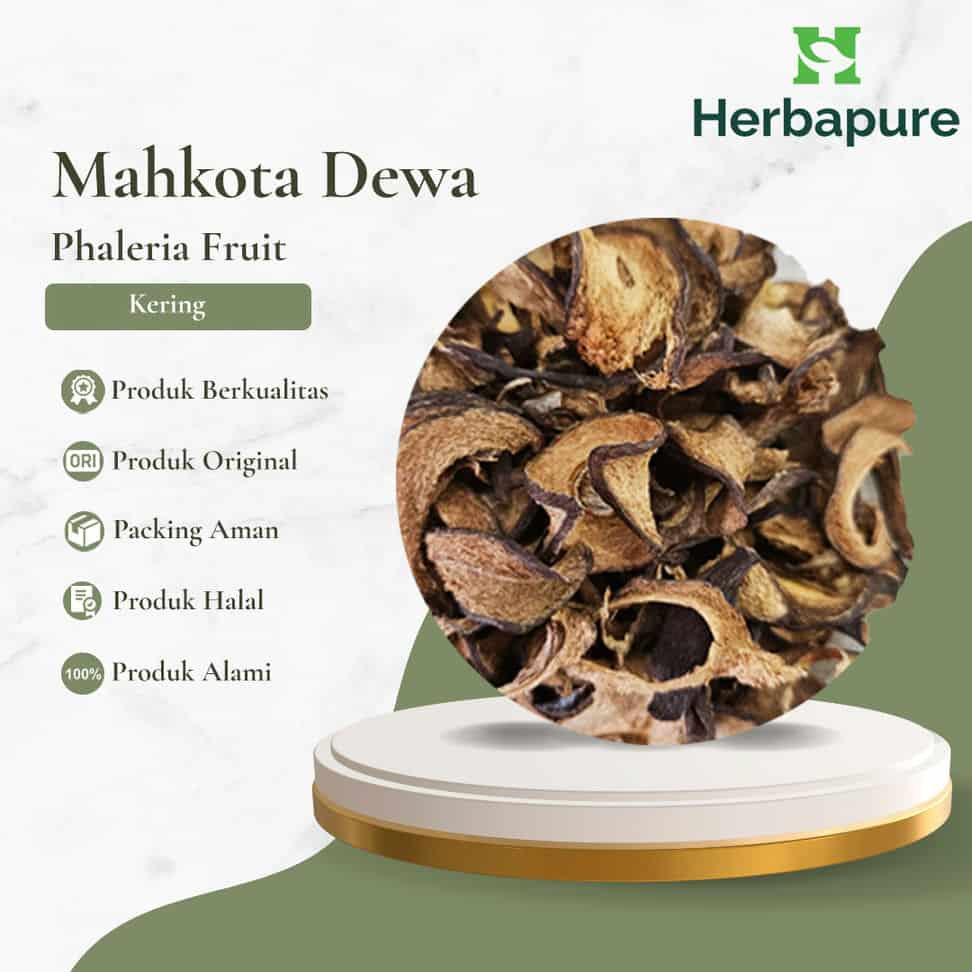 

Herbapure- Mahkota Dewa Kering Herbal Gula Darah, Imun, Antioksidan | 100% Alami Siap Seduh