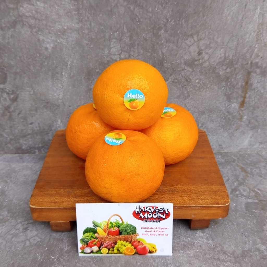 

HarvestMoon Jeruk Wogan per Dus