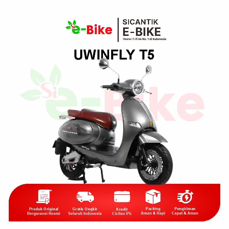 MOTOR LISTRIK UWINFLY T5