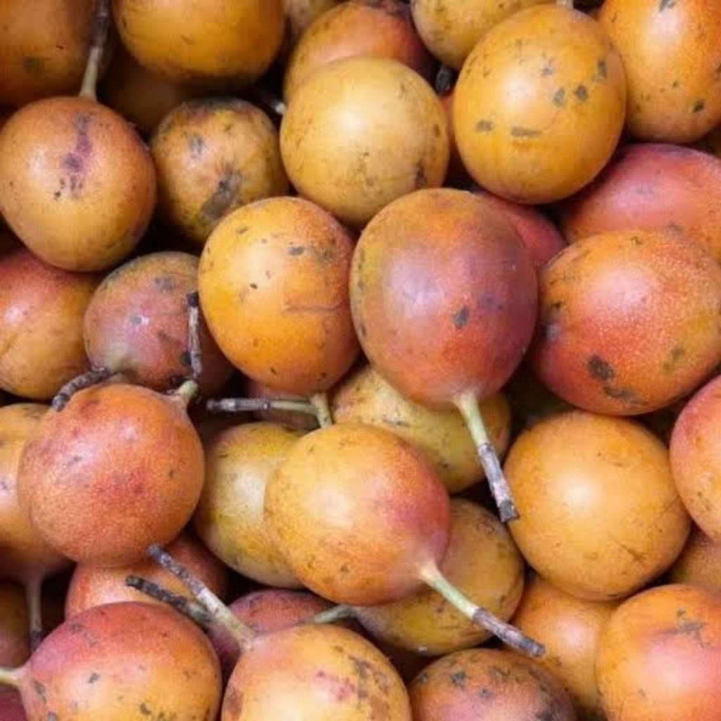 

Buah Markisa Manis Segar 1kg
