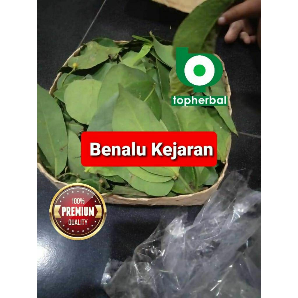 

Daun benalu kejaran kering hijau grade A+ 1kg/1000gram