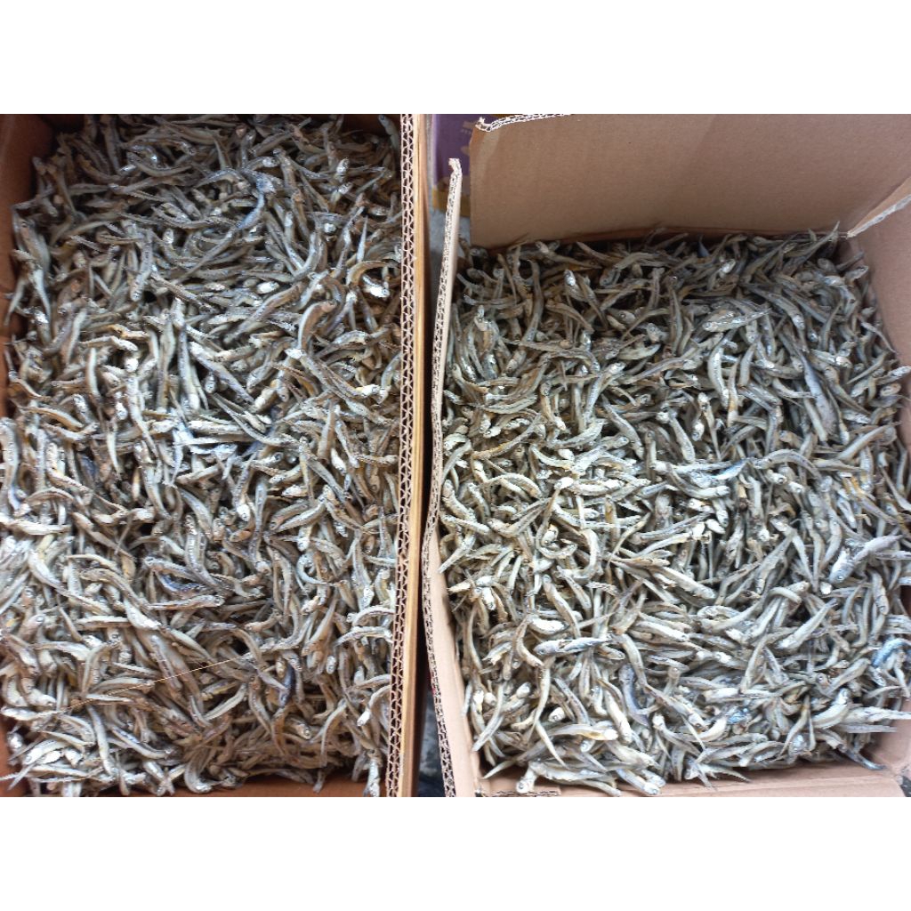 

Ikan Rebus TERI ASIN Sibolga