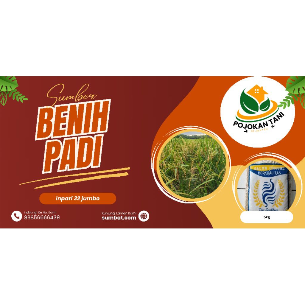 BENIH PADI INPARI 32 JUMBO 5Kg