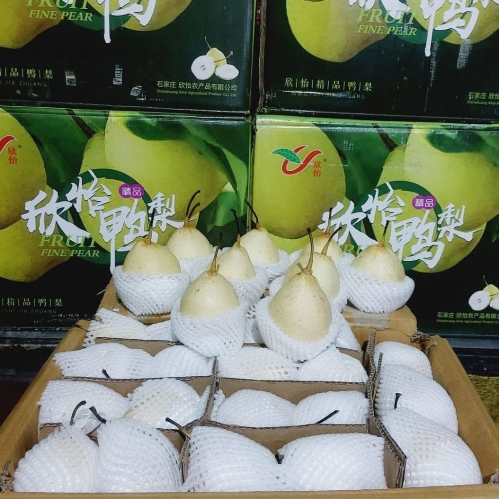 

PEAR YA LIE 1 DUS 17kg
