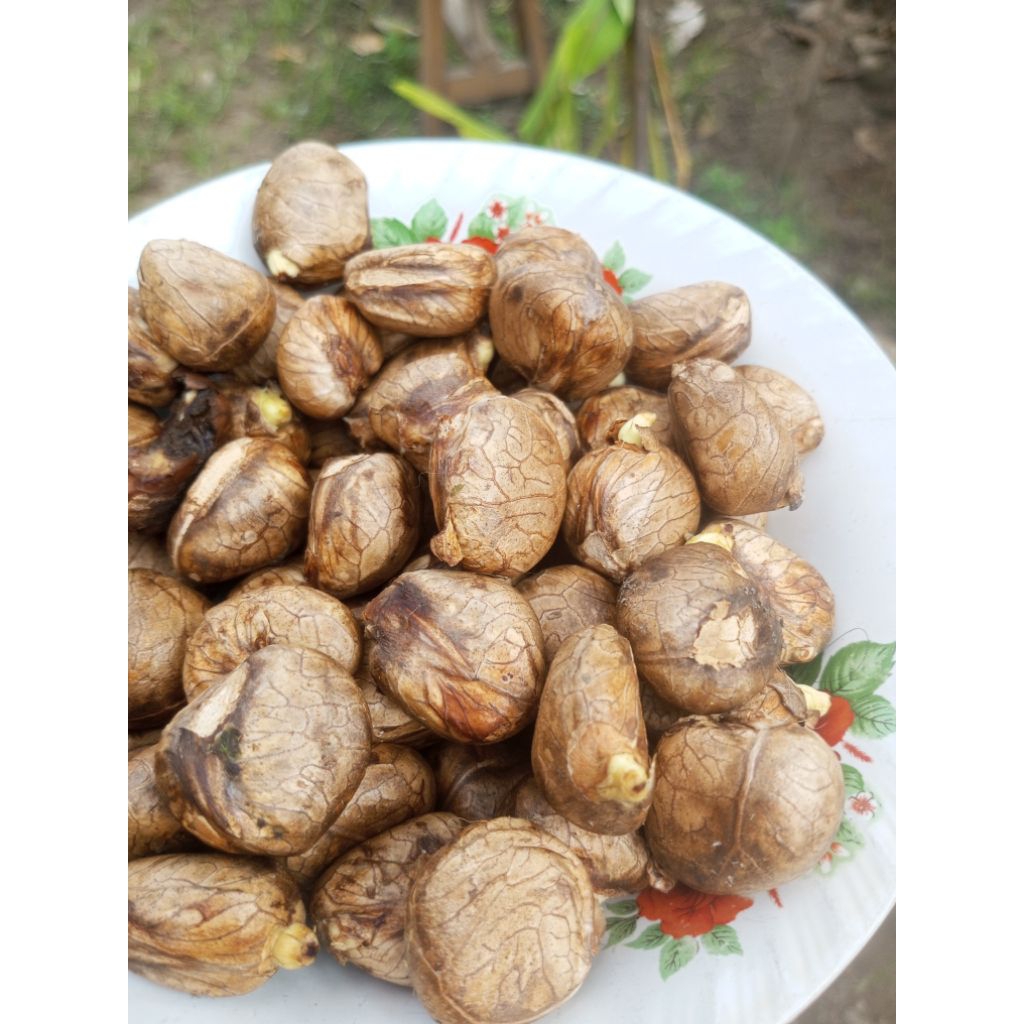 

isi buah (beton) kluwih 1 kg