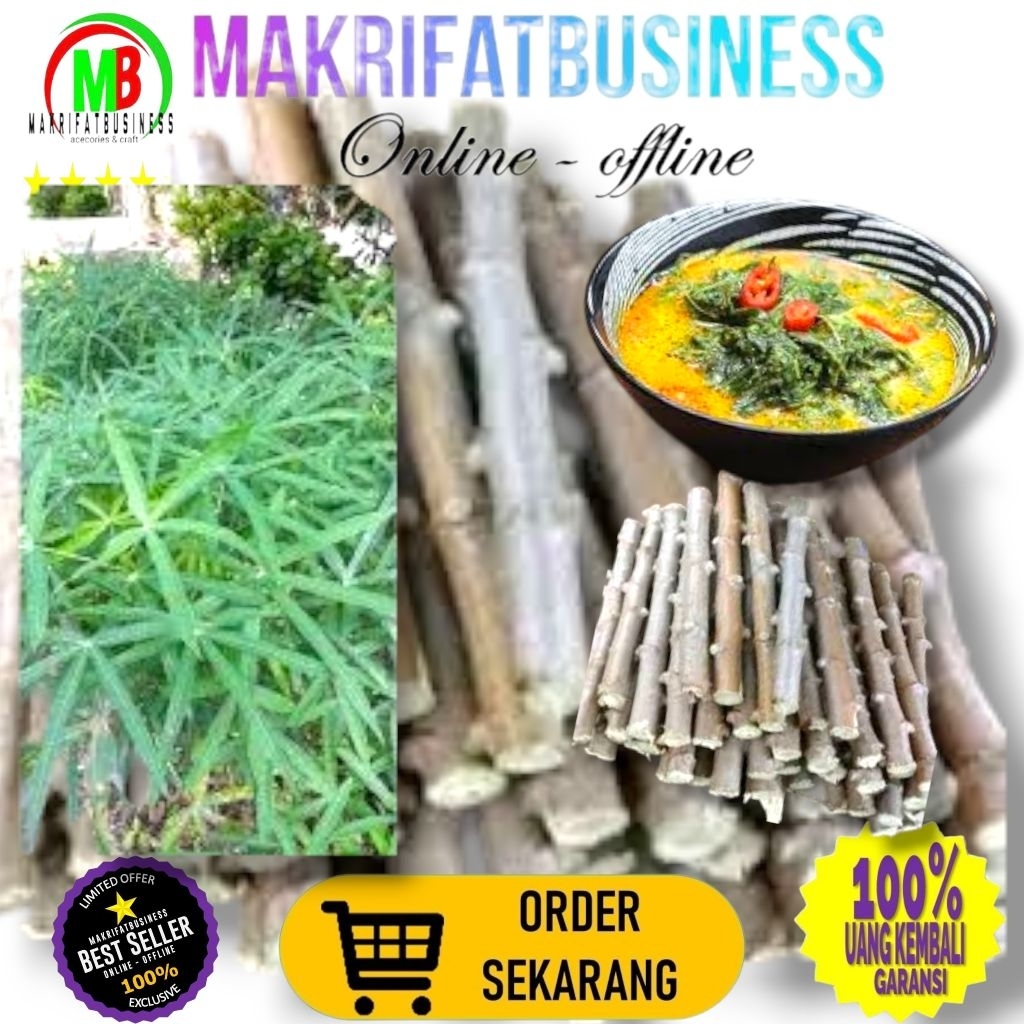 

MAKRIFATBUSINESS Paket 10 Pcs 20 cm BATANG SINGKONG SAYUR Untuk Konsumsi Aneka Masakan Juga Bisa Sumber Protein Ternak Ayam Ikan Gurami dll